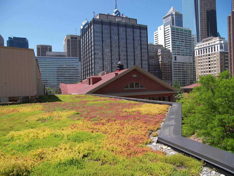 paysagiste-ENTRECASTEAUX-min_green-roof-portfolio-4